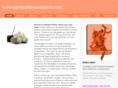 spiritualfitnessworld.com