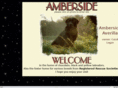 ambersidelabs.com