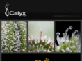 calyxapparel.com