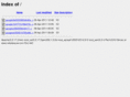 netsitesusa.com
