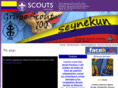 scouts100seynekun.org