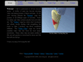 zerop.net