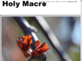 holymacro.net