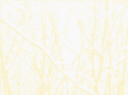 hostalsanandres.com