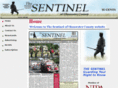 thenjsentinel.com