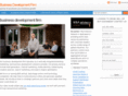 businessdevelopmentfirm.net