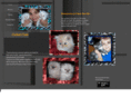 cabotcats.com