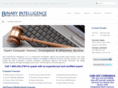 binary-intelligence.com