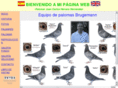 jcherrera.com