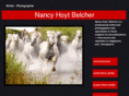 nancyhoytbelcher.com
