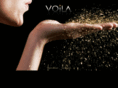 voilavision.com