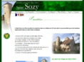 stsozy.com
