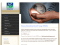 azigg.com