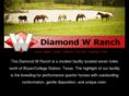 diamondwtexas.com