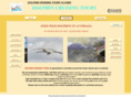 dolphincruisingtours.net
