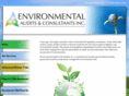 environmentalauditsinc.com