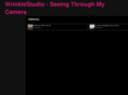 wrinklestudio.com