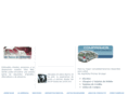 desarmaduriapeugeot.com