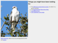 elanus.net