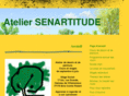 cours-senartitude.com