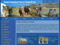 everestintltravel.com