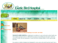 exoticbirdhospital.com