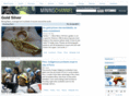 goldsilvermine.com