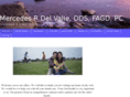 mercedesdelvalle.com