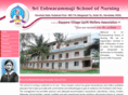 sejischoolofnursing.org