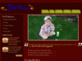 thaimamaeggrolls.com