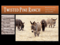 twistedpineranch.com