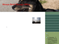 ybto.net