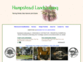 hampsteadlandscaping.com