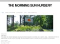 morningsunnursery.com