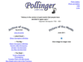 pollinger.com