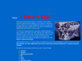 authorizedmotorservice.com