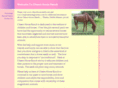 cheershorseranch.com
