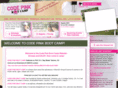 codepinkbootcamp.com