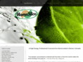 homesliceband.com