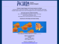 picturauk.com