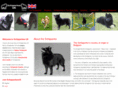 schipperkes.co.uk