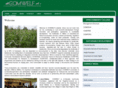 comwelf.org