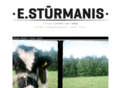 edgarssturmanis.com