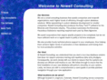 nowellconsulting.com