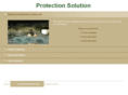 protectionsolution.net