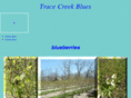 tracecreekblues.com