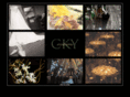 ckyoccasions.com
