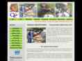 creative-event.net