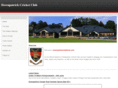 downpatrickcricketclub.com