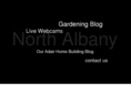 north-albany.com